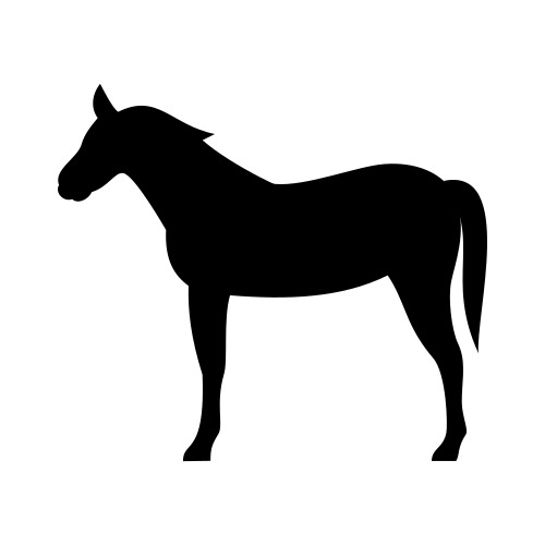 体験教室_テオ・ヤンセンの馬車(事前申込・先着順)